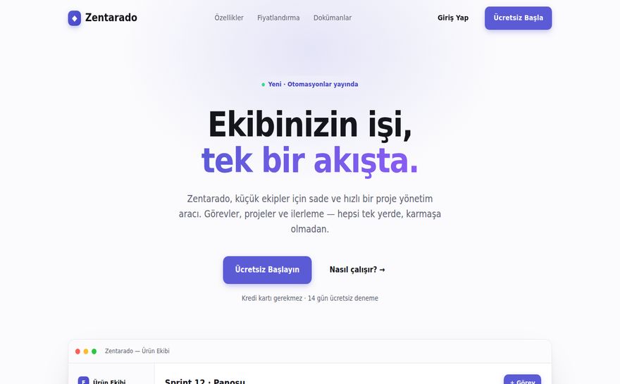 Zentarado — Konsept çalışma